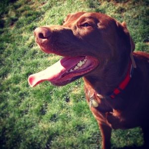 Meet your Posher, Anita